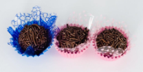 Docinhos